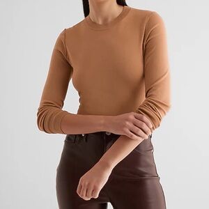 Express Fitted Crewneck Sweater
